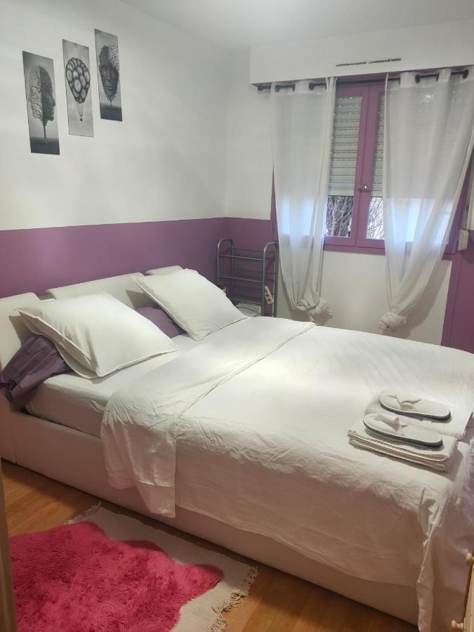 Logement Entier+ Jardin Prive Et Parking 2Places Rouen Kültér fotó